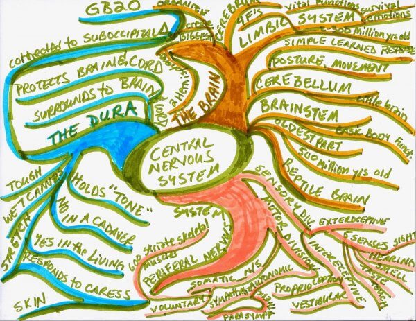 Dissociation, Prolapse & Pelvic Floor Function – Ellen Heed