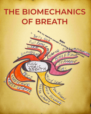 biomechanics of breath ebook
